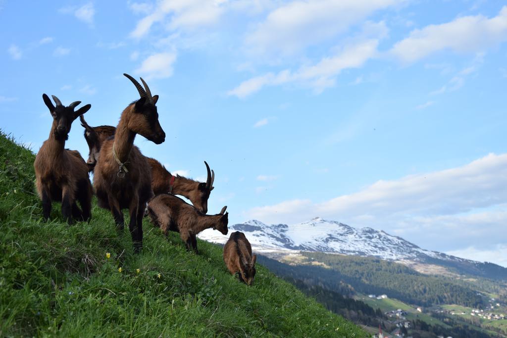 Garni Petter Hotel Kappl  Luaran gambar